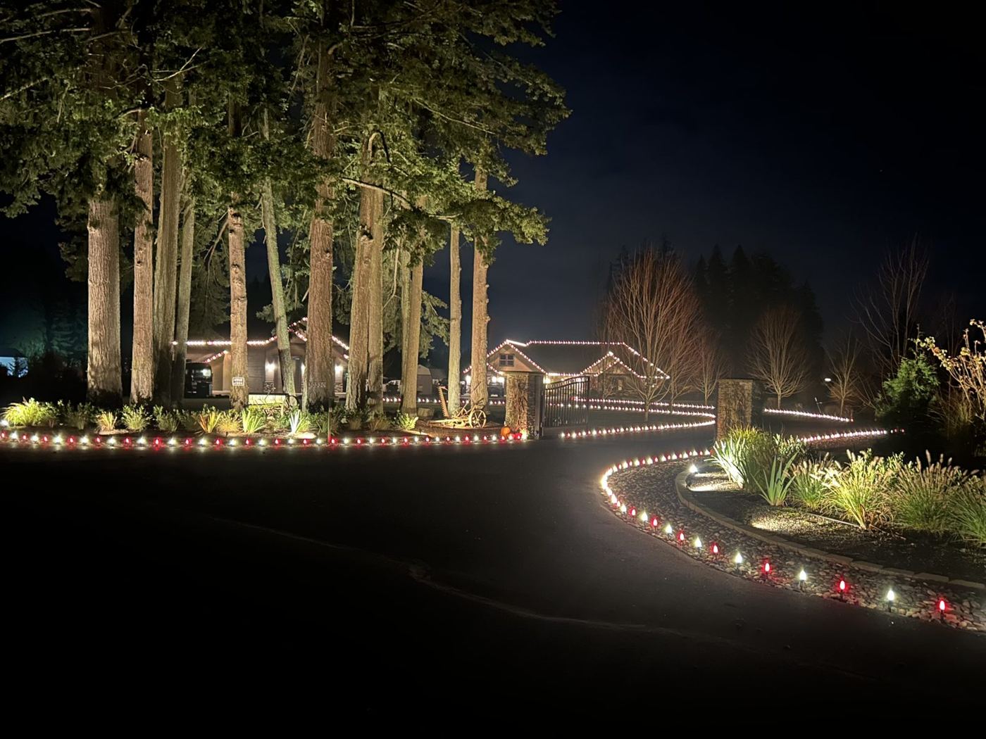 Long driveway and home lit with warm white lights among tall trees